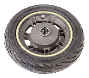Segway Ninebot Vorderrad AB00000589 für E Scooter tubeless max. 100kg K025 Ersatzteil